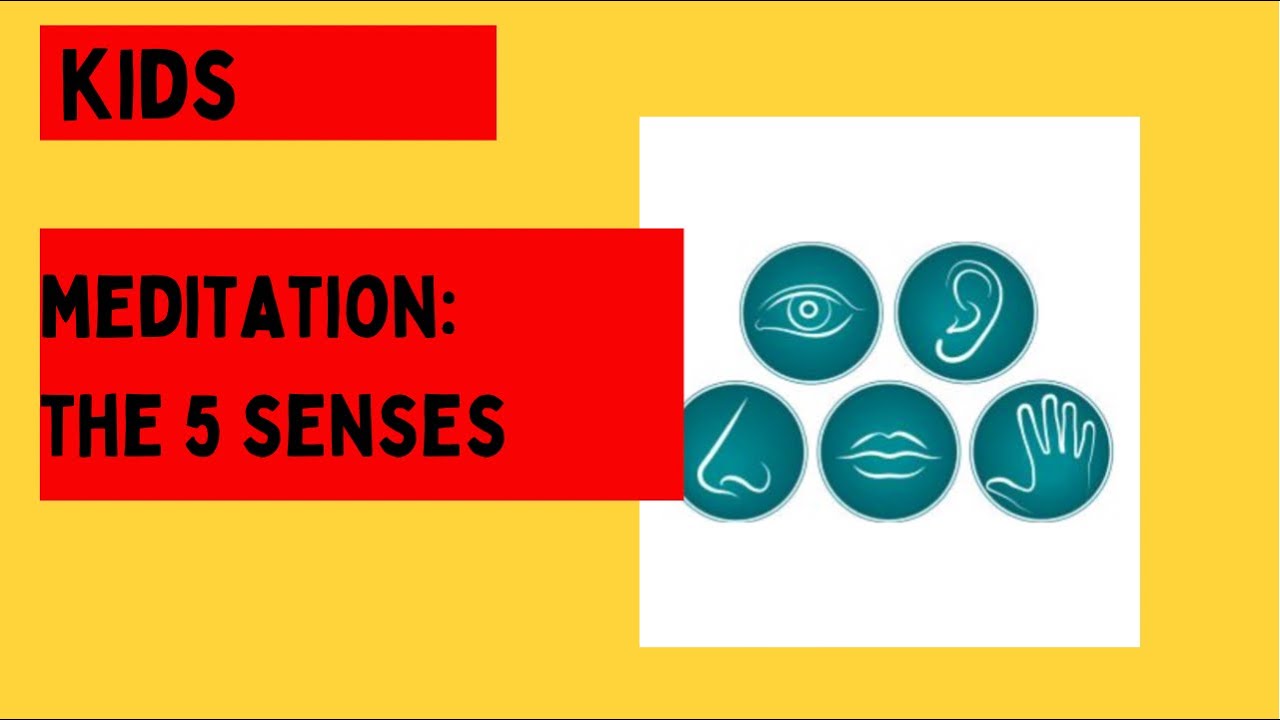 KIDS MEDITATION The 5 Senses Age 10 YouTube kids-meditation-the-5-senses-age-10-youtube