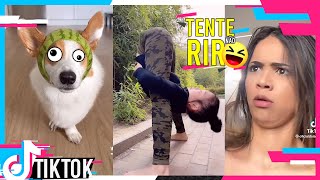 videos engraçados para chorar de rir｜Pesquisa do TikTok