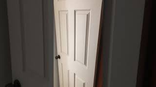 IMG 7752