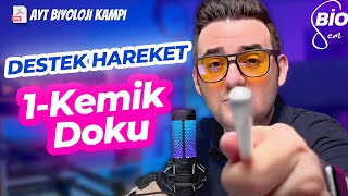 Destek Hareket-1 Kemik Doku Konu Anlatımı 11 Sınıf Yks 2023