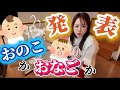 【性別発表】夫(歩)にお子の性別発表してみようの儀開催