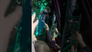 Вікторія Гарден Дзідзьо