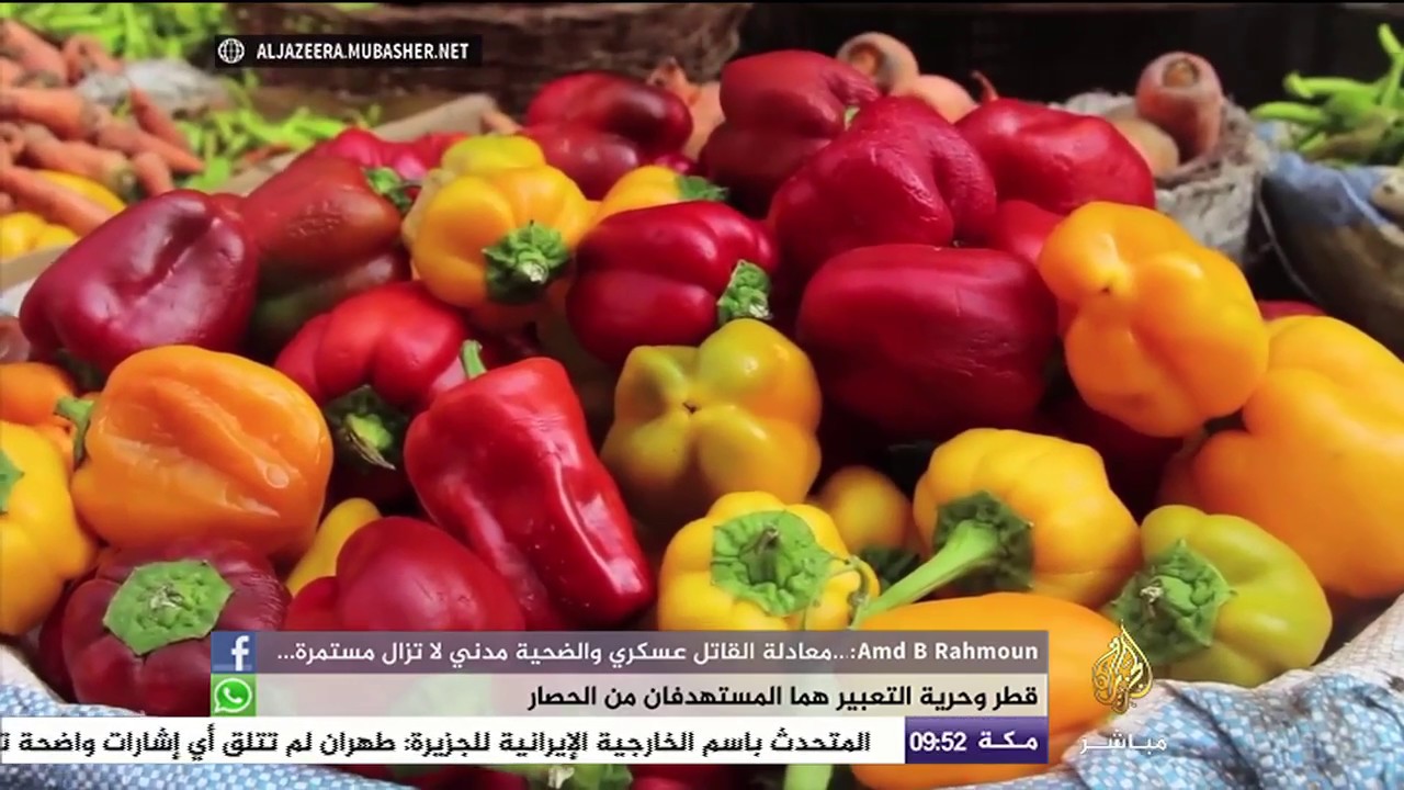 مواطن مصري :الأسعار مولعة نار!