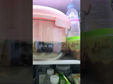 꾸덕 그릭요거트만들기 도전!!