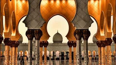 الحافظ محمد حسين الشامي سورة القصص 1 إلى 31 وسورتي الشمس والضحى