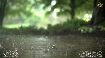 قرآن كريم سورة  المائدة كاملة بصوت حمدي علي أبوطالب Holy Quran Surah Al Ma'idah