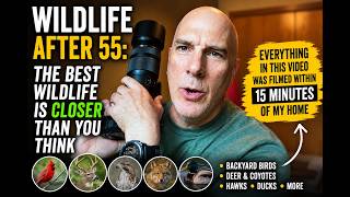 Wildlife After 55: Why I Started Looking Closer to Home