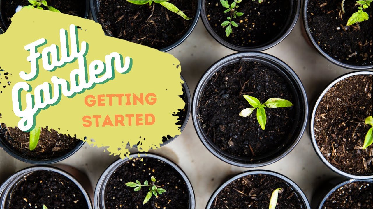 Choosing Seeds for a Fall Garden