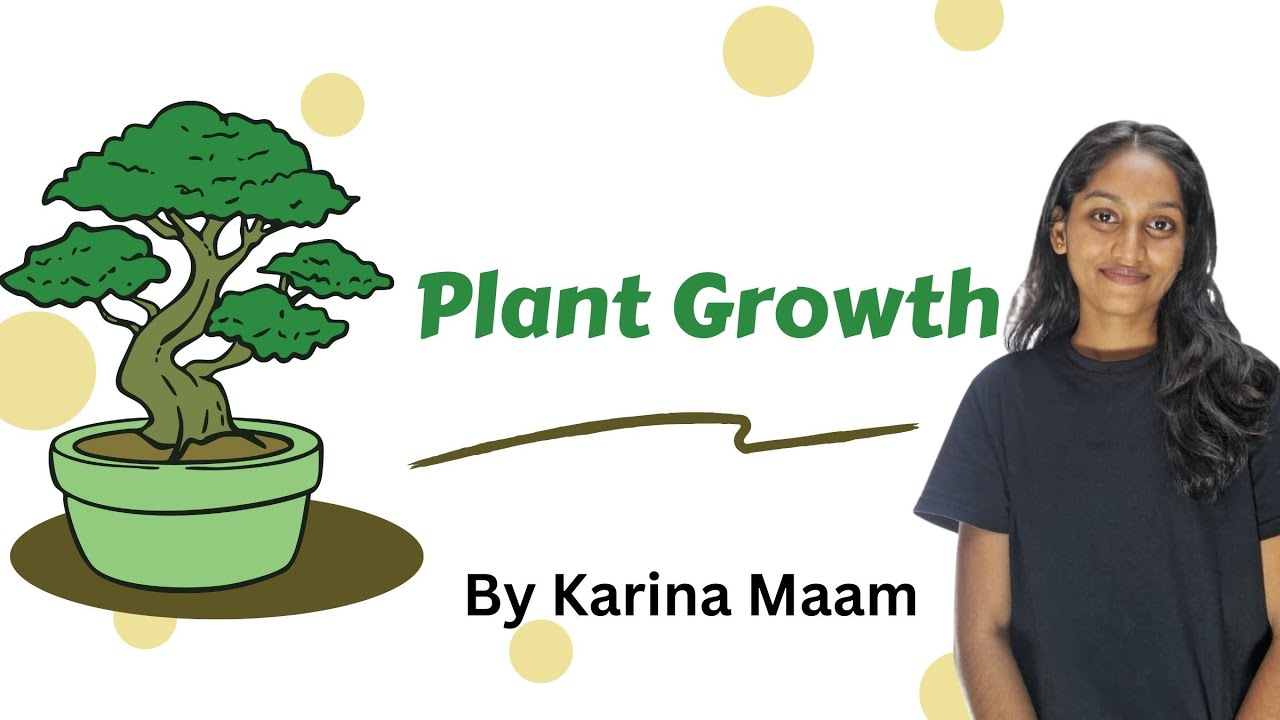 Plant Growth 🌿 | Plant Growth & Development | NEET Biology | Karina Ma’am#PlantGrowth