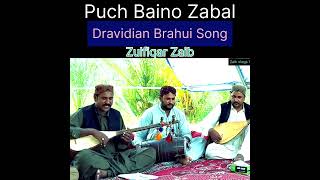 Puch baino Zabal #DravidianBrahuiSong #zaikvlogs #balochistan #Pakistan #traditionalmusic #ForYou