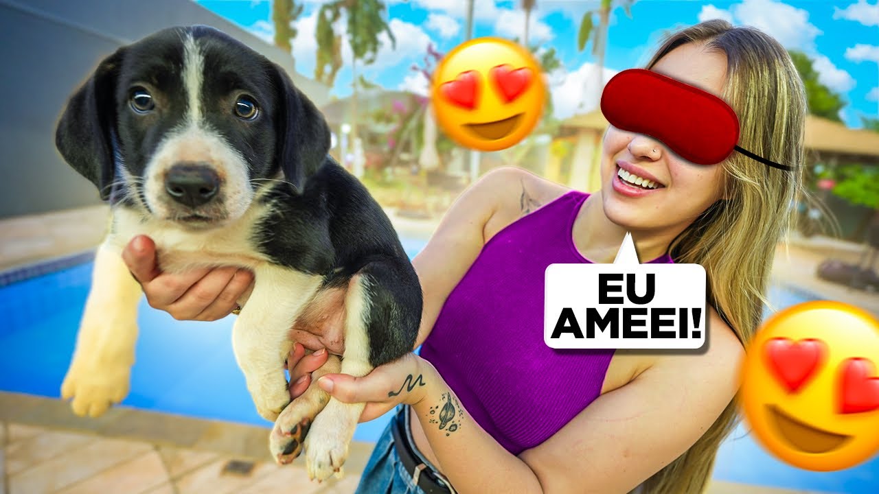 DEI UM FILHOTE DA SKY PRA MINHA EX NAMORADA 😍 SURPRESAA