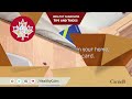 Bedbugs tips and tricks