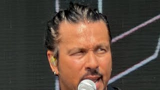 POP EVIl - Waking Lions