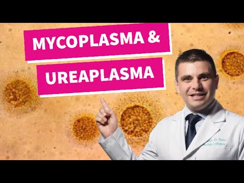 Vídeo: Ureaplasmose - Causas E Sintomas Da Ureaplasmose - Ureaplasma E Gravidez