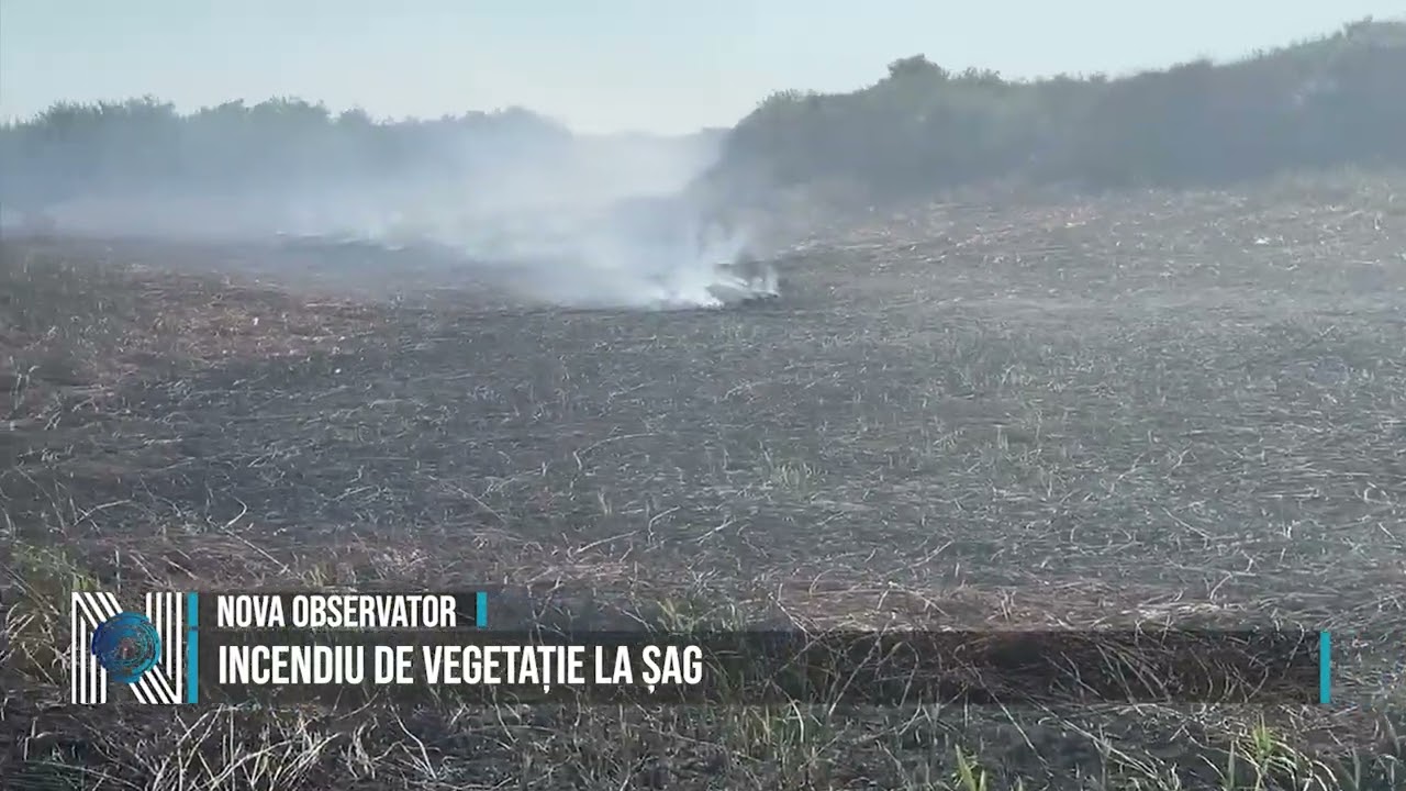 Incendiu de vegetație la Șag 