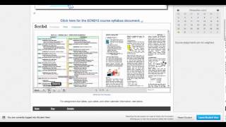 (Micro) Episode#1: Spring 2013 Canvas Course Tour