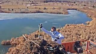 2021-02-02 Osprey nest removed | Boulder County Osprey Cam