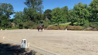 Tigger Training level test 1