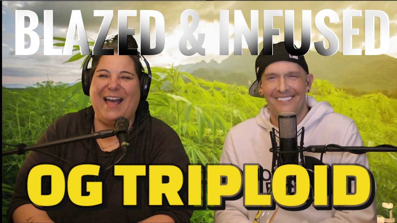 Blazed & Infused | OG Triploid