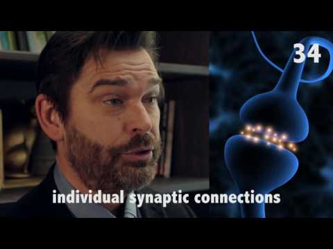 The Networked Brain in 60 seconds