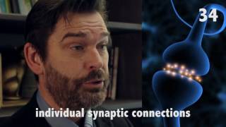 The Networked Brain in 60 seconds