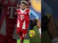 Pausalo correctamente