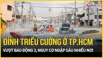 TP.HCM: Đỉnh triều cường vượt mức báo động 3, nguy cơ ngập sâu hàng loạt tuyến phố | Báo VietNamNet