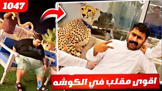 فهد العرادي سناب [ 1047 ] اقوى مقلب في الكوشه 🤣 بوشنب