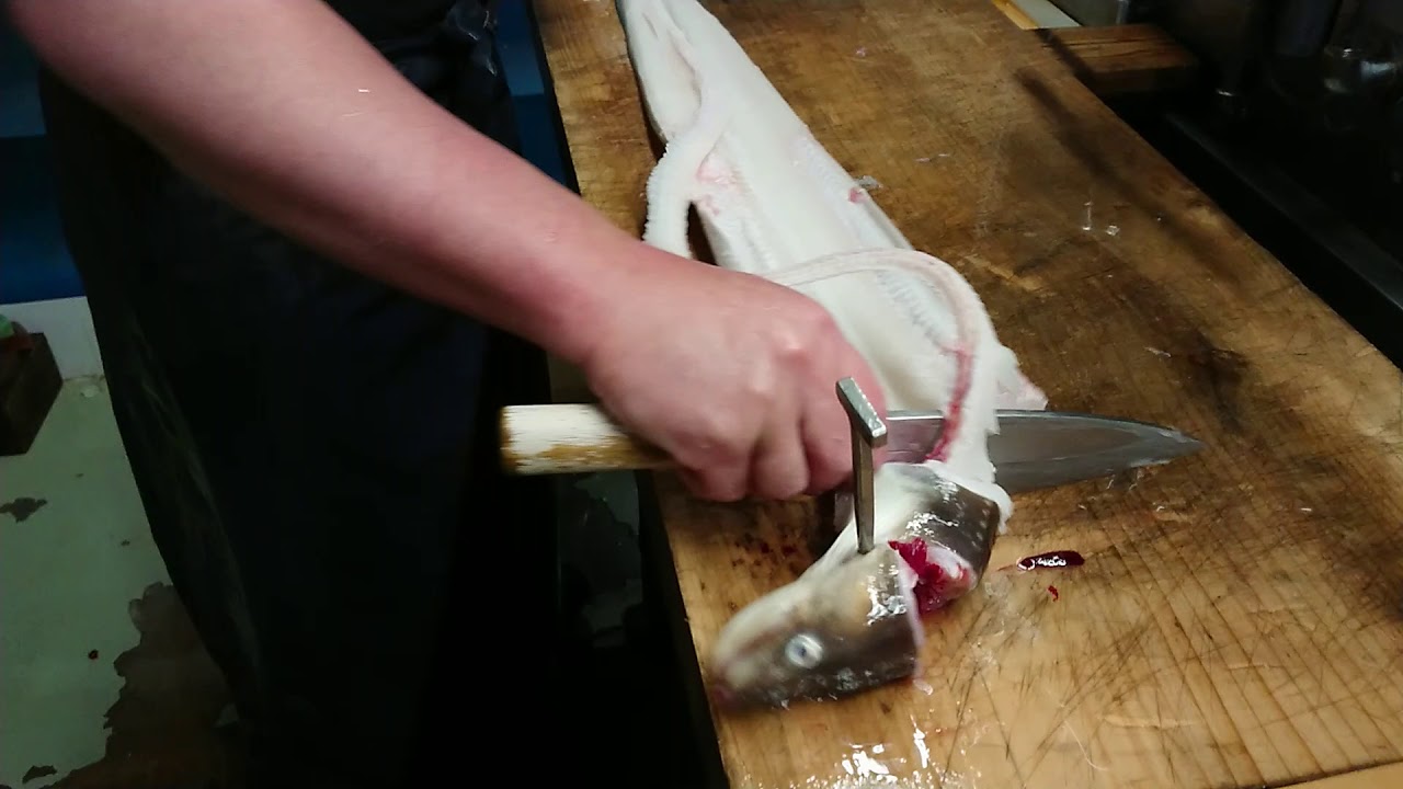 血抜きした活きた穴子を開く ぷりぷりで 包丁入れすぎました Youtube