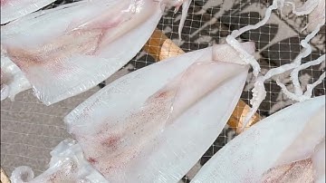 Giá Bán Mực 1 Nắng Ở Tân Phú - 0985.029.225