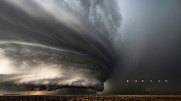 Ninja Tracks - Infinite Climb