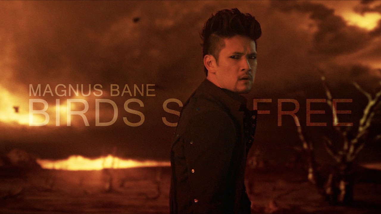 Magnus Bane || Bird Set Free