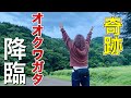 【クワガタ採集】神回！！ついに念願の「天然オオクワガタ」を捕まえました！！！【黒いダイヤ】