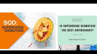 How to Boost Superoxide Dismutase
