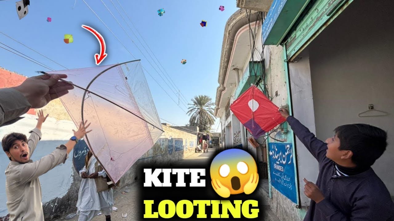 Kite looting scenes😍 || Kite fighting😱 || Kite cutting🔥 || Full on scenes🥵 || Kite 🪁|| Kites