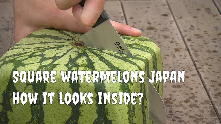 Square watermelons Japan. How it looks inside? English version. - DayDayNews