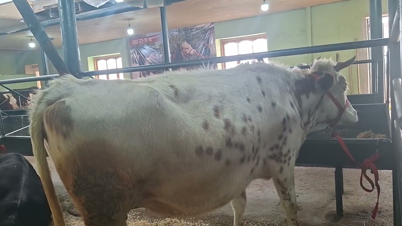 23 февраля 2026 г.