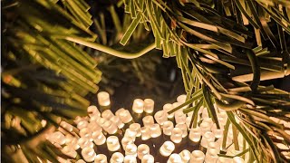 DEMO of the Smart Color Changing Christmas Lights