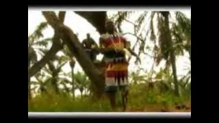 Ricos Campos - Ahouita