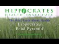 The hippocrates food pyramid  hippocrates health institute