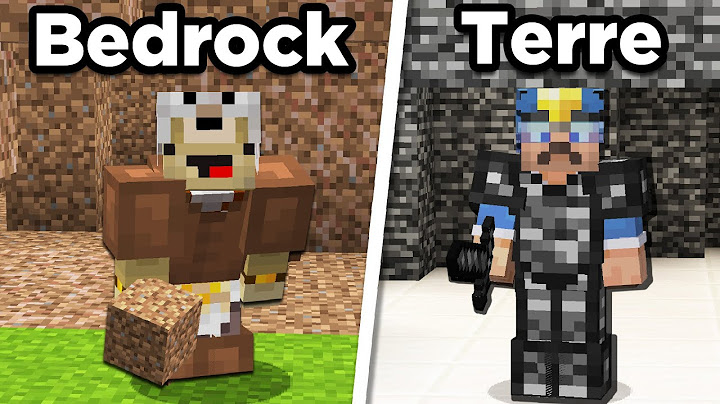 J'ai Trollé mon Pote en Transformant la BEDROCK en TERRE sur Minecraft !