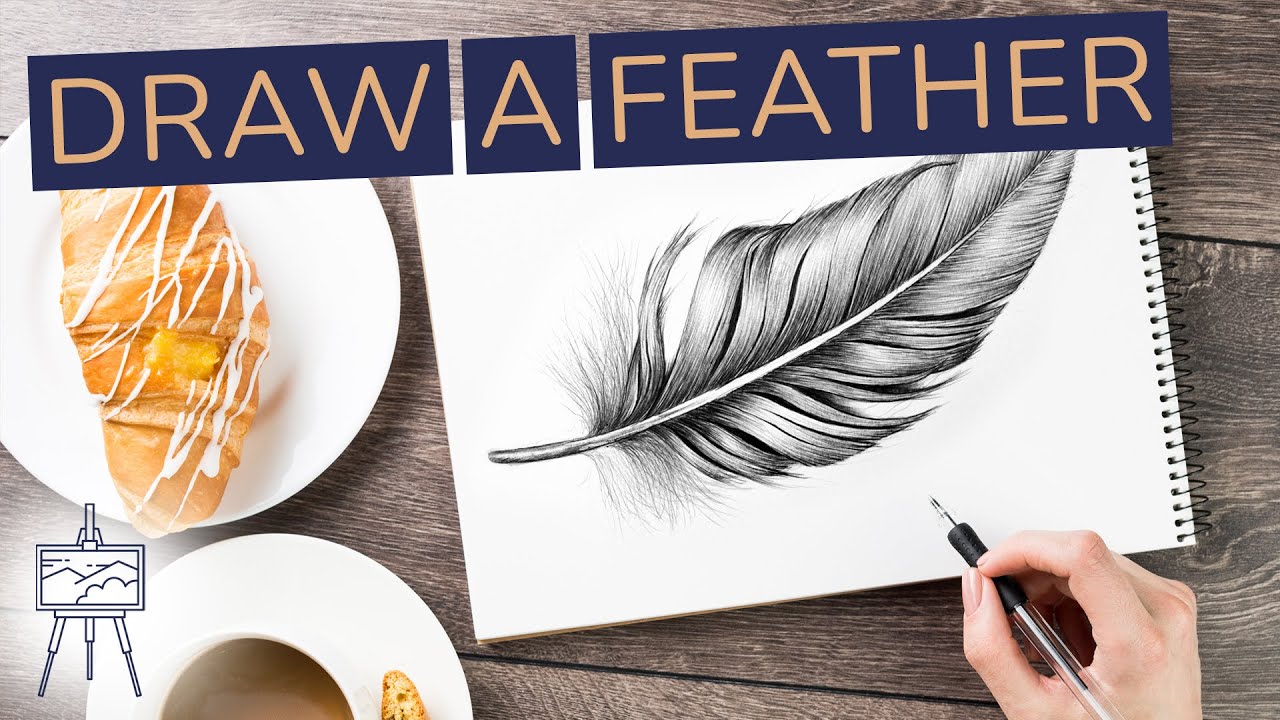 Feather drawing hires stock photography and images  Alamy