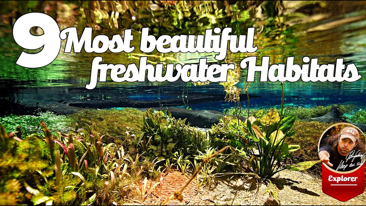 9 Most beautiful freshwater habitats in the world