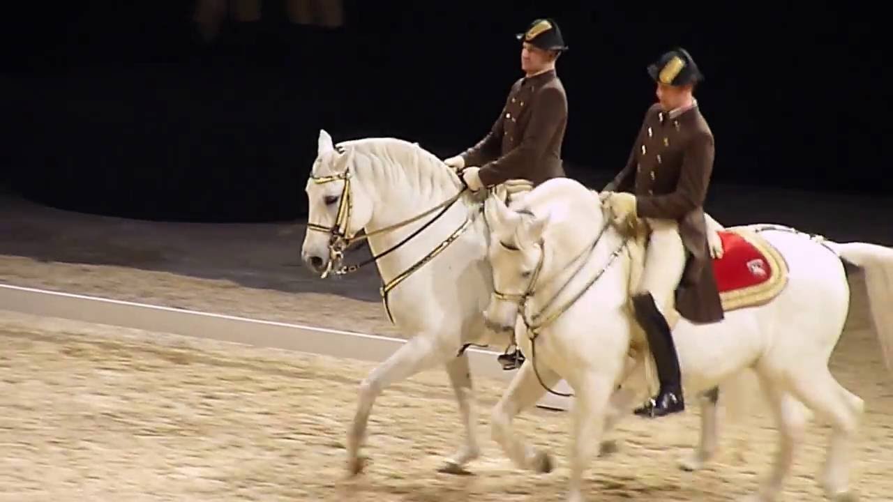 The Spanish Riding School Of Vienna 04 YouTube
