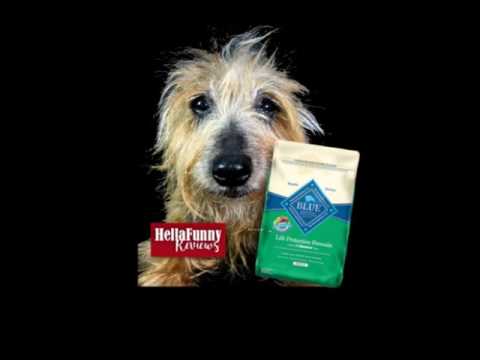 Maggie Talking Dog Reviewing BLUE Buffalo Protection Formula Dog Food -HellaFunnyReviews HFR1002