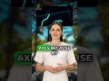 AVAX Explosion Predicted! 🚀 $93 Future Price? - Should You Invest NOW