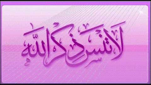 الشيخ نبيل الرفاعي   سورة الفتح