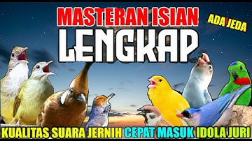 MASTERAN TERLENGKAP TAHUN INI UNTUK MATERI BURUNG GANTANGAN || Terbaru 2025