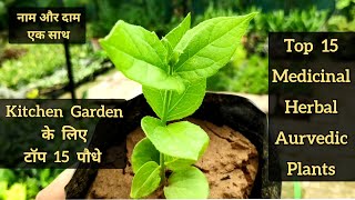 15 Powerful Medicinal plants names n care, टॉप हर्बल प्लांट, Ayurvedic plants, Kitchen garden plants screenshot 1