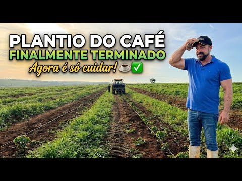 FINISHING COFFEE PLANTING || IRRIGATION READY AND RUNNING